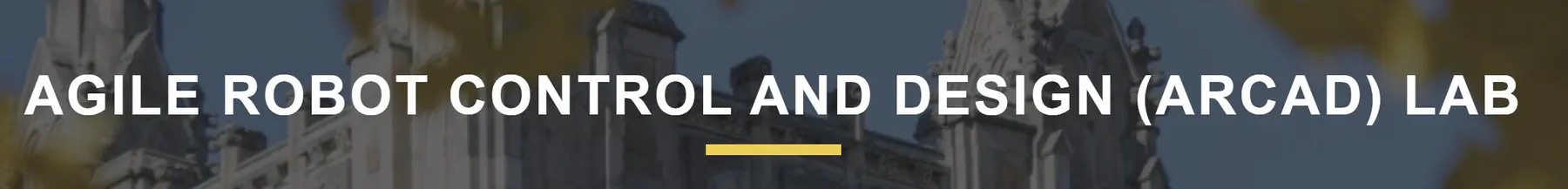 Robotic World Model: Toward Real-World Online Reinforcement Learning