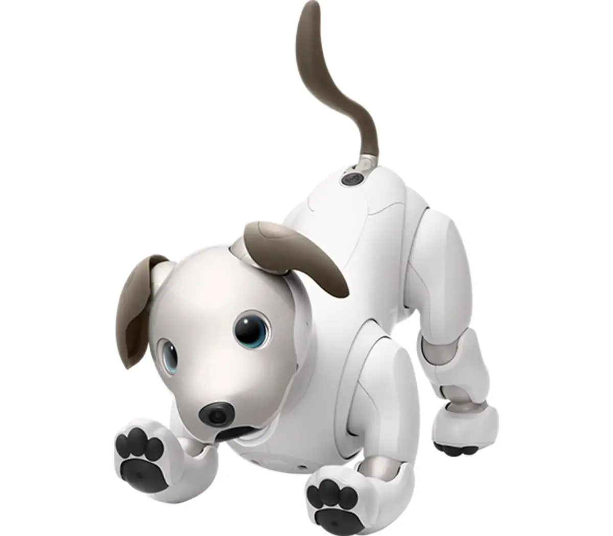 Sony aibo